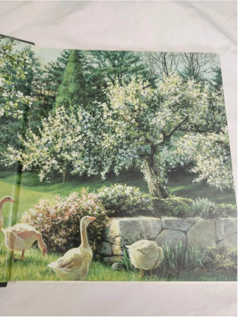 Girls Unbranded Kids Book Leaves From A Child's Garden of Verses Beige Green One